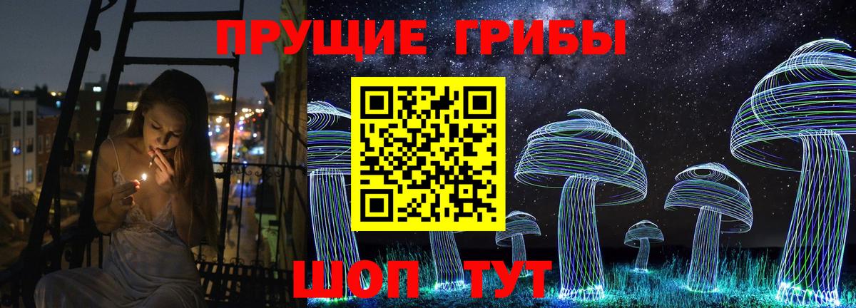 Новосибирск  Псилоцибиновые грибы Psilocybe  Вход с VPN 
